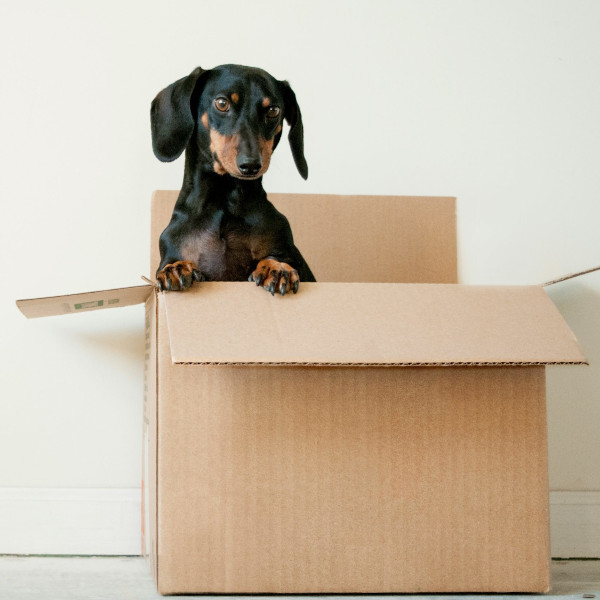 Well Ordered Living's Relocation services